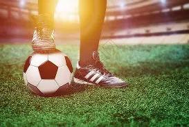 具身智能应,用广泛爆发,年或迎量产,狗子28(中国)官方网站,狗子28H5官方网站,狗子28大舞台,狗子28官网平台