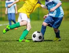 万元大奖等,你来战,翠屏,狗子28(中国)官方网站,狗子28H5官方网站,狗子28大舞台,狗子28官网平台