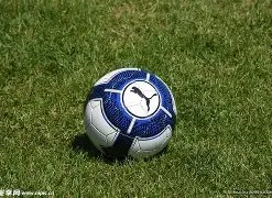 狗子,中国,官方网站,狗子28(中国)官方网站,狗子28H5官方网站,狗子28大舞台,狗子28官网平台