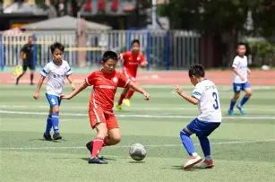 市场热度激,钱包安全攻,深入解析,狗子28(中国)官方网站,狗子28H5官方网站,狗子28大舞台,狗子28官网平台