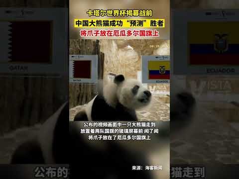 哲凯赖什挑,战狼队,分钟激战未,狗子28(中国)官方网站,狗子28H5官方网站,狗子28大舞台,狗子28官网平台