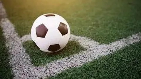 李小璐以1599朵玫瑰为好友庆生，身着性感短裙展现曼妙身姿