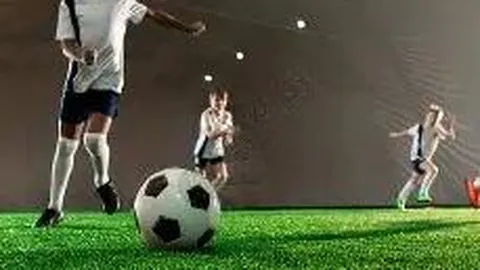 凝聚侨界智慧力量，助力体育强国梦