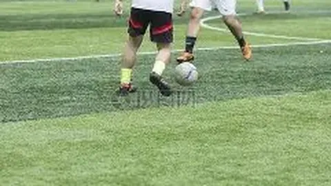 狗子28(中国)官方网站 资讯 093244 hz7