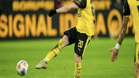 莱科回归上海海港执教，阿瑙托维奇续约在即